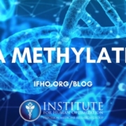 DNA Methylation